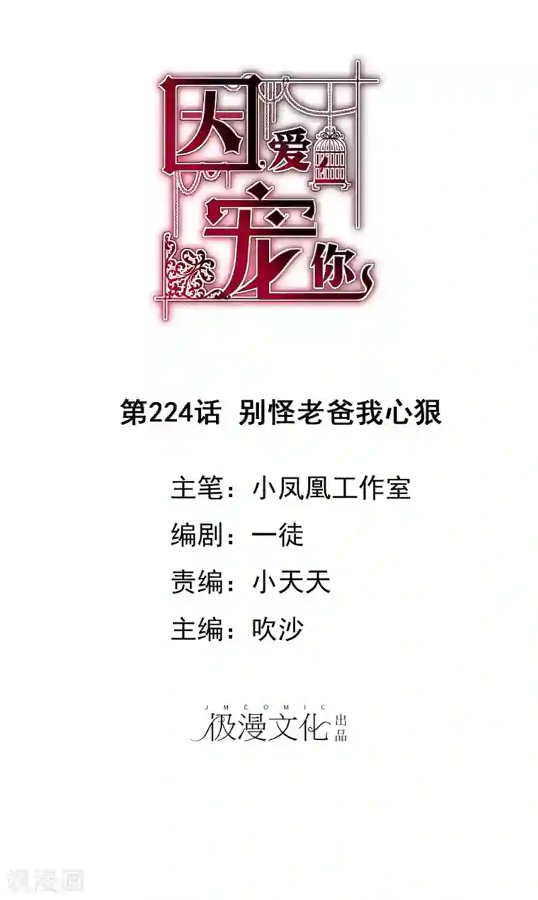 因爱宠你第224话