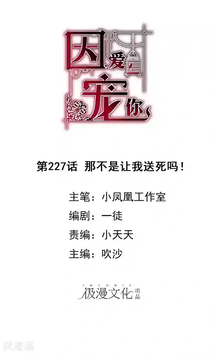 因爱宠你第227话