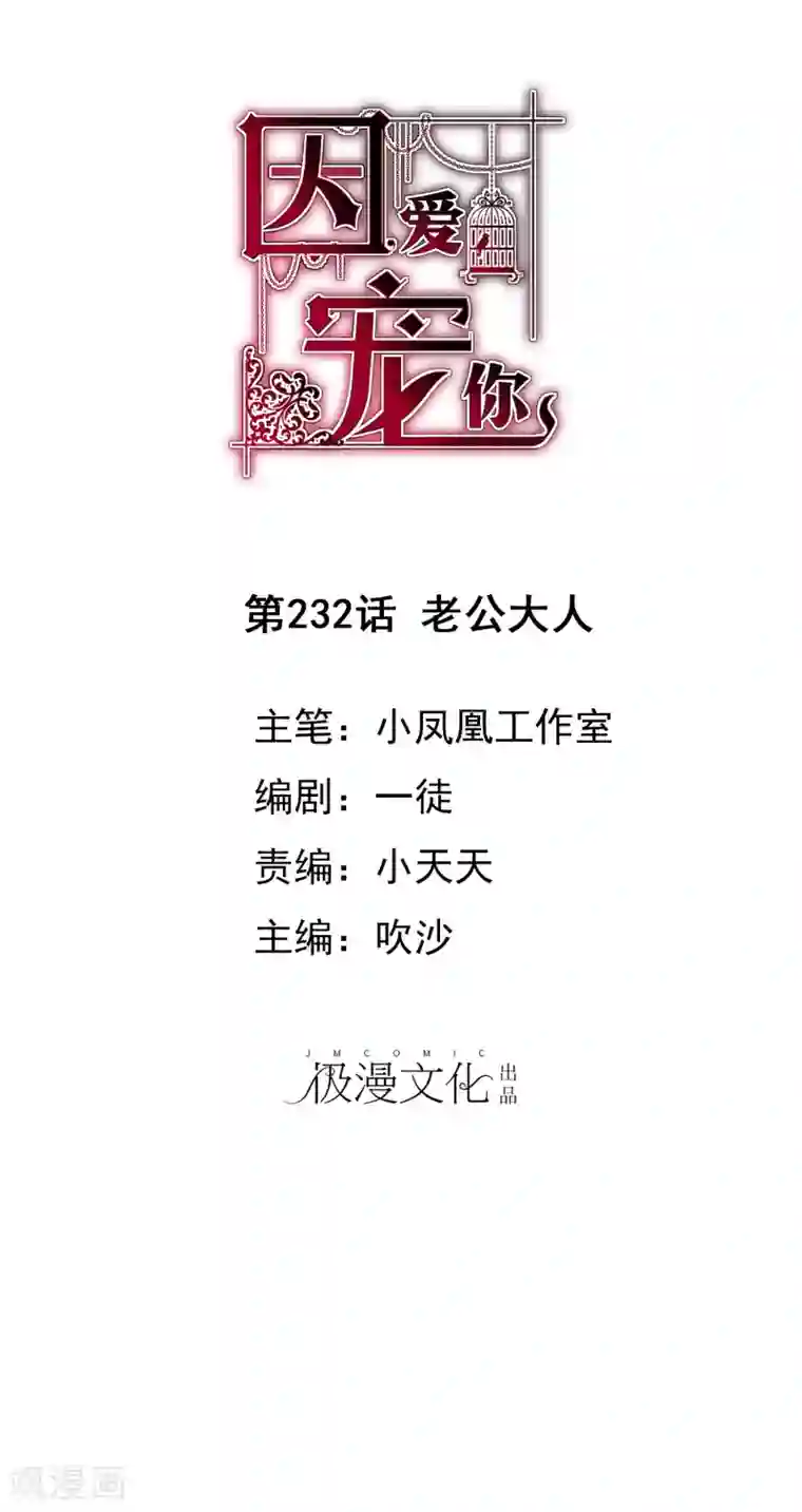 因爱宠你第232话