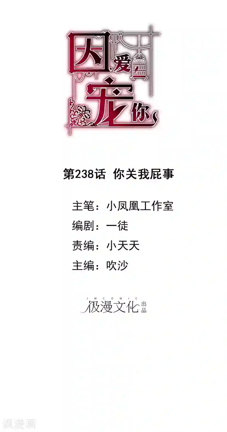 因爱宠你第238话
