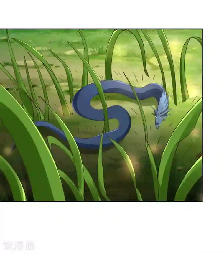 武灵剑尊第19话 打草惊蛇