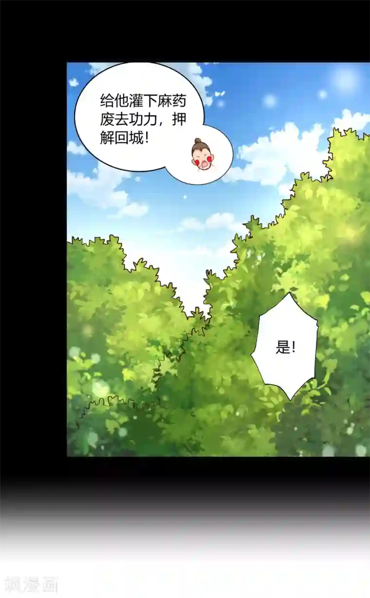 武灵剑尊第39话 抄家