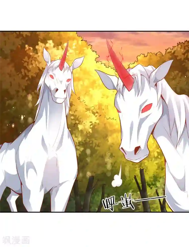 武灵剑尊第44话 新城主