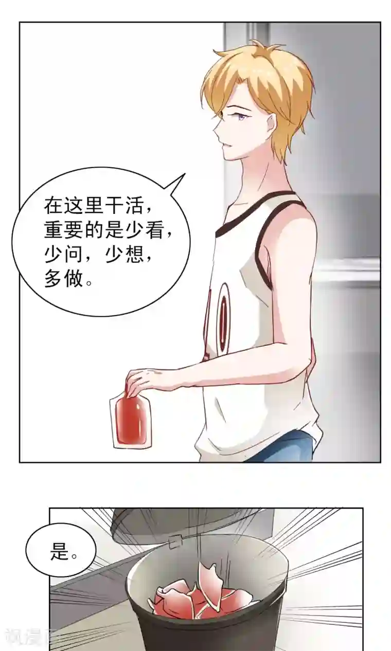 总裁的专属美食第5话