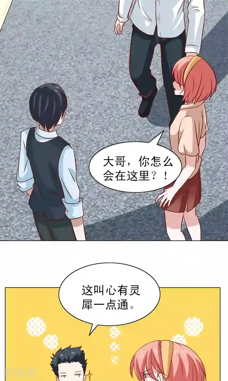 总裁的专属美食第14话