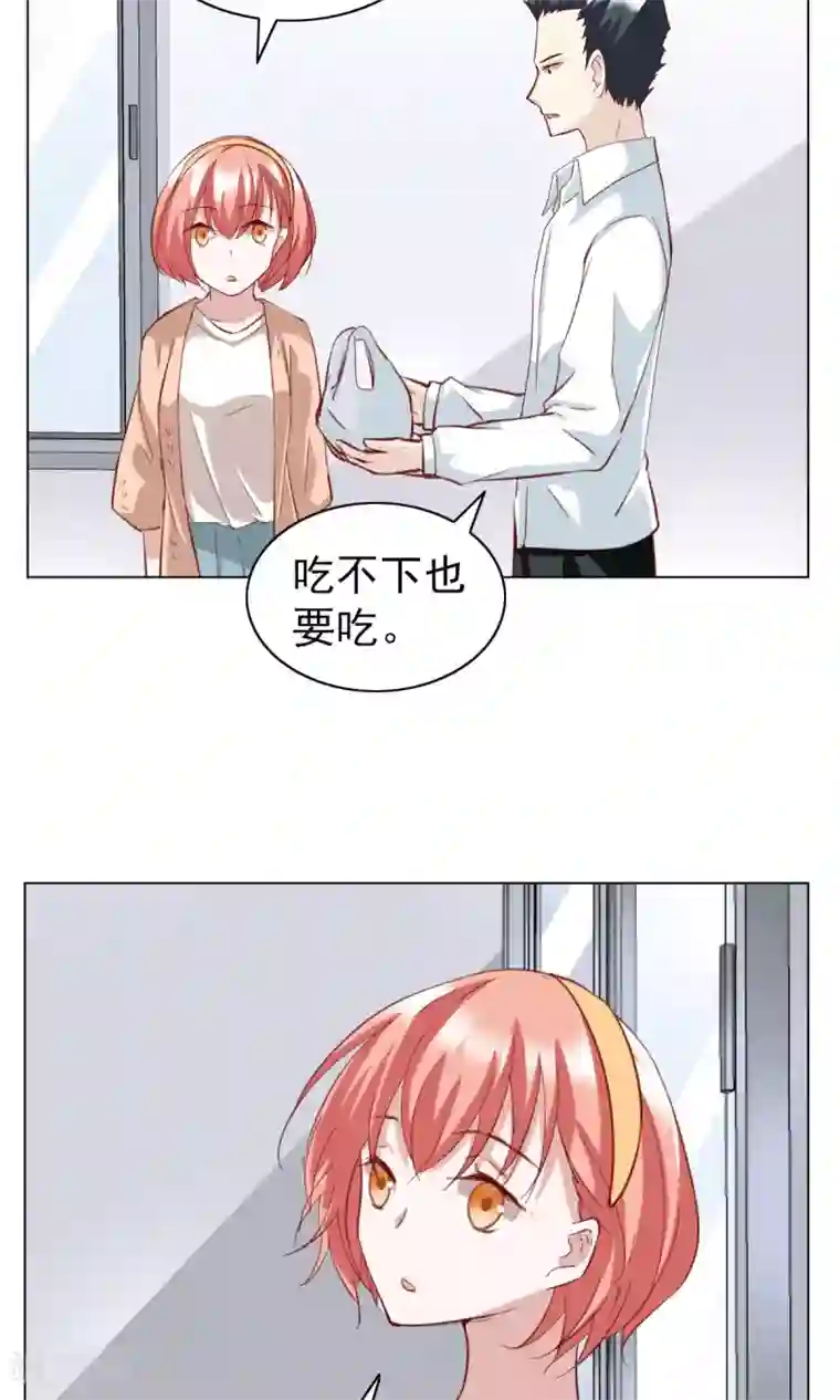 总裁的专属美食第26话