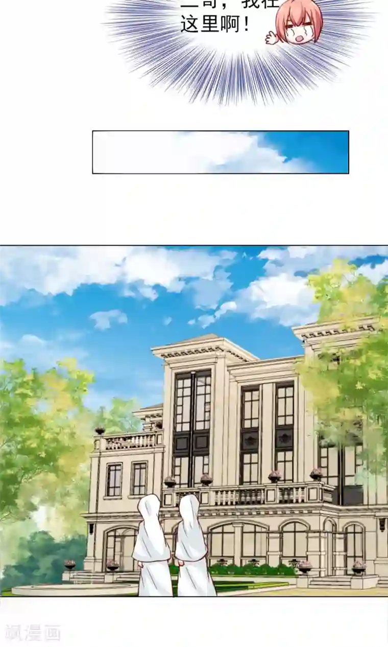 总裁的专属美食第41话