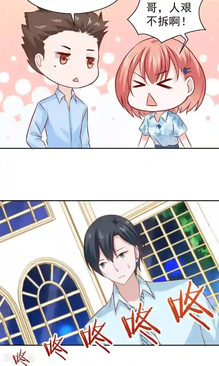 总裁的专属美食第55话