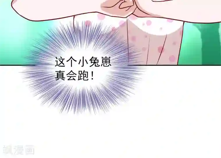 总裁的专属美食第61话