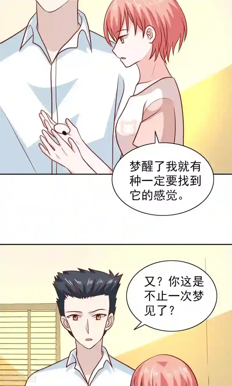 总裁的专属美食第67话