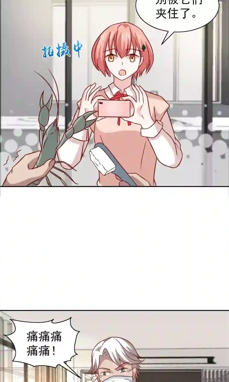 总裁的专属美食第70话