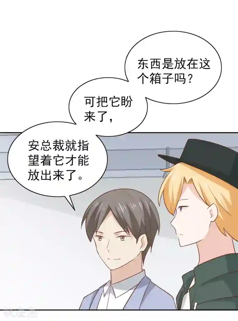 总裁的专属美食第108话