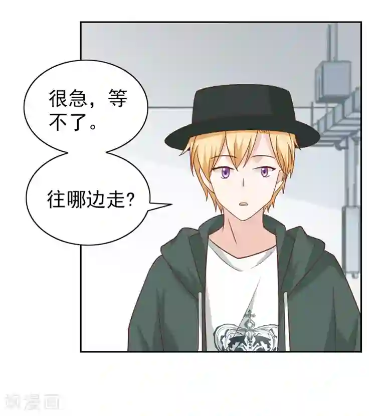 总裁的专属美食第108话