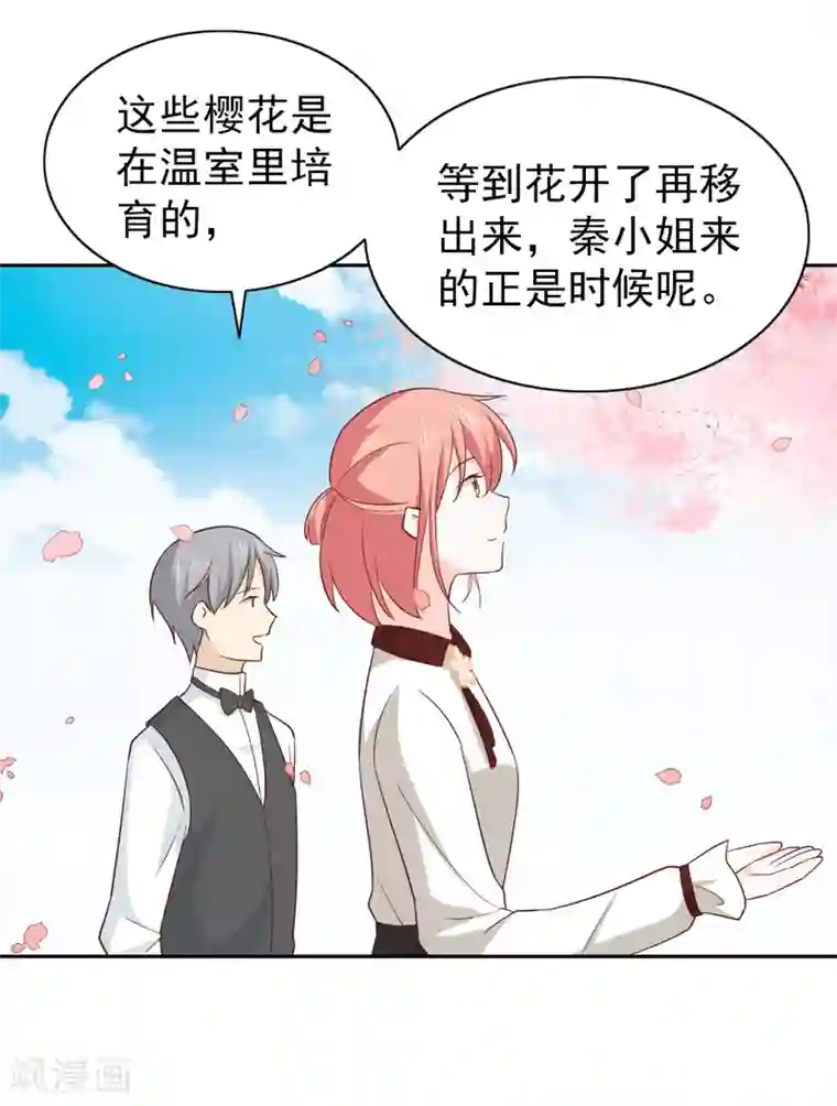 总裁的专属美食第109话