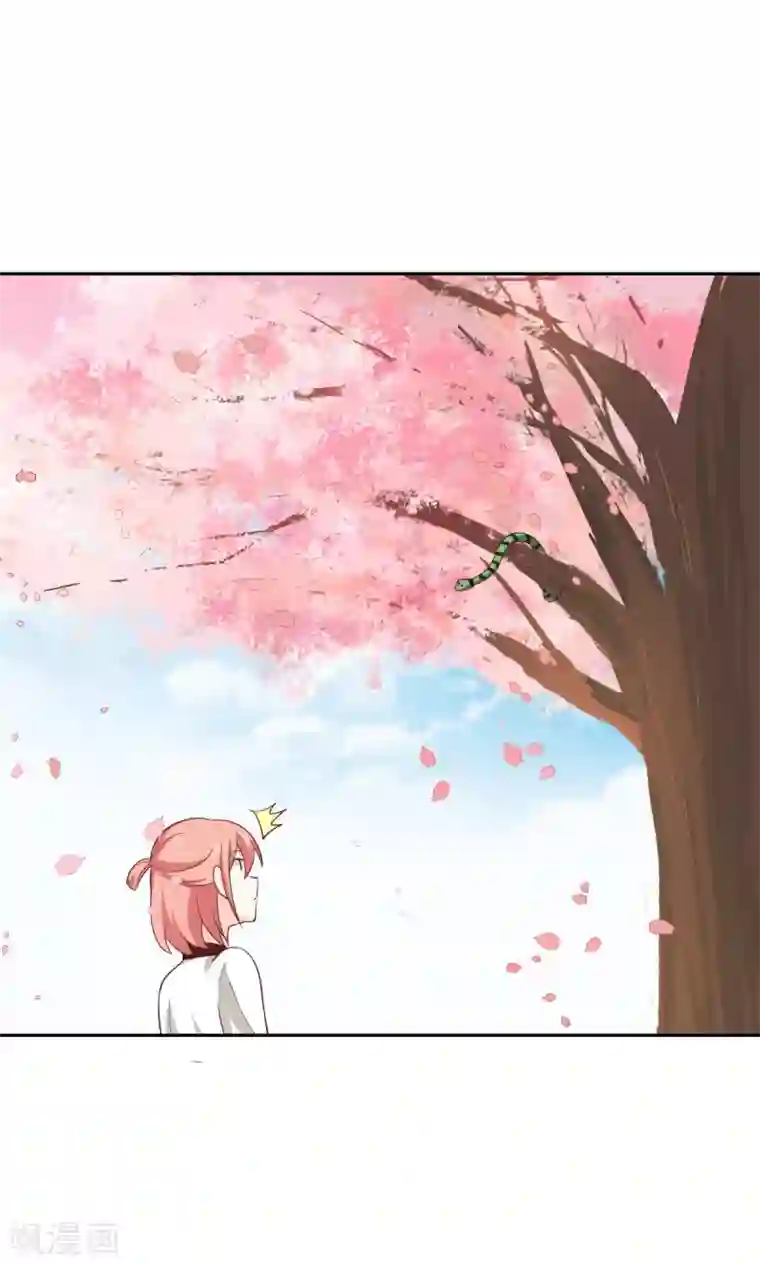 总裁的专属美食第109话