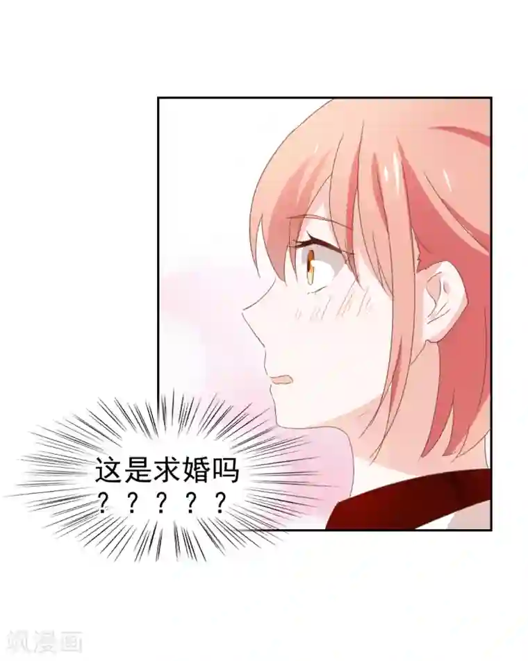 总裁的专属美食最终话