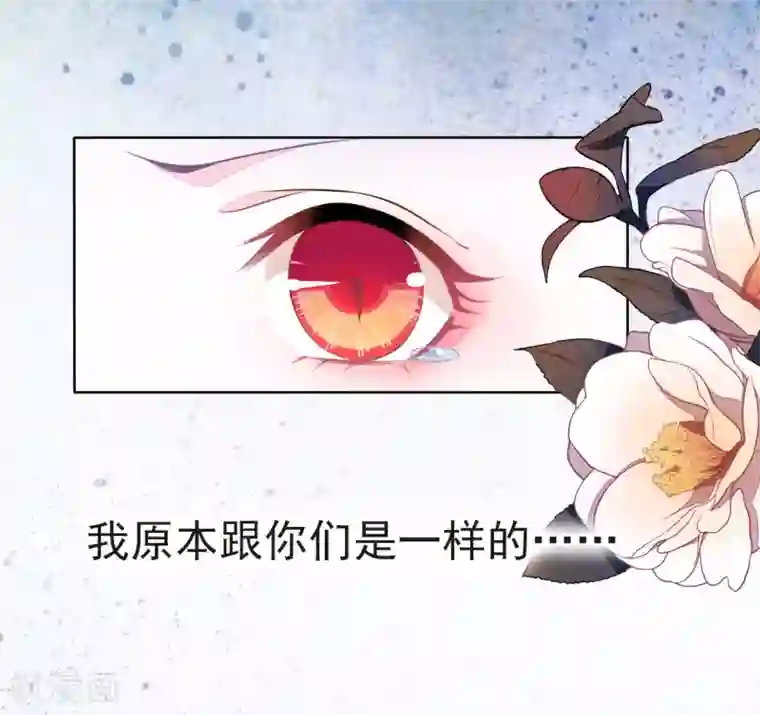 穿回古代做国宝序章