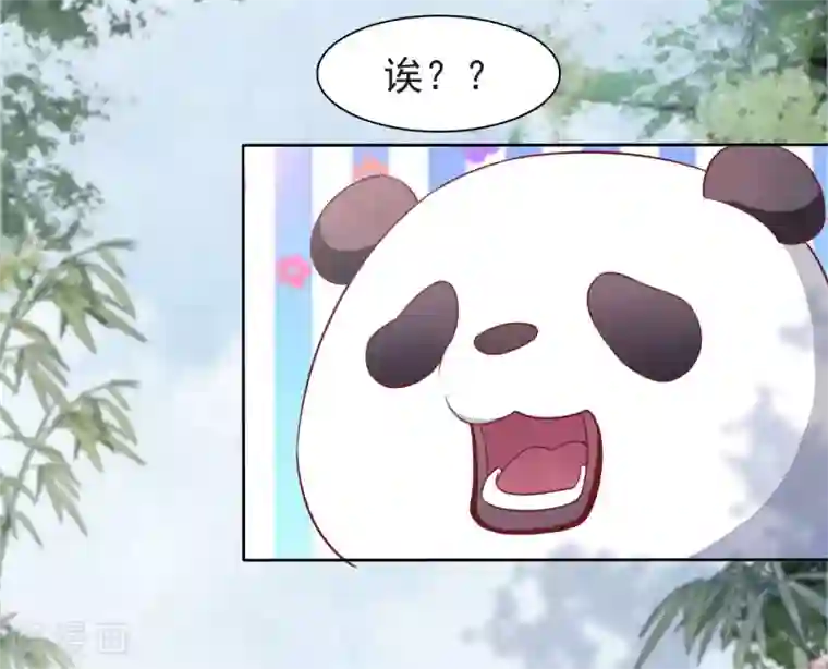 穿回古代做国宝第1话1 我变成熊猫了？！