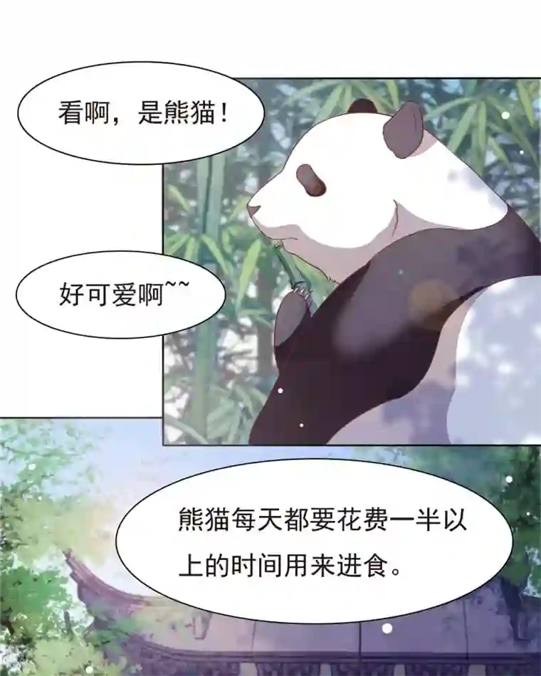 穿回古代做国宝第1话1 我变成熊猫了？！