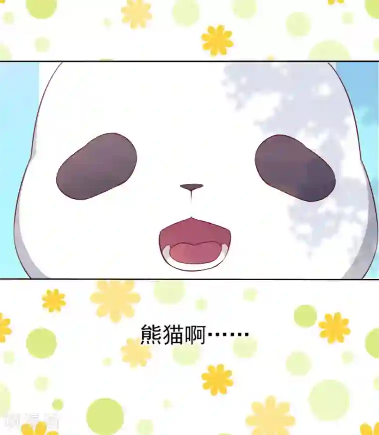 穿回古代做国宝第1话1 我变成熊猫了？！