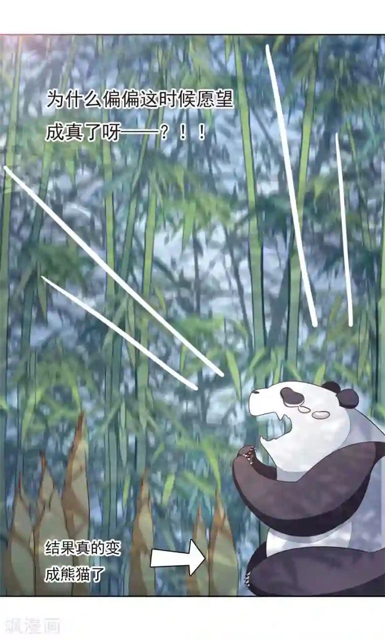 穿回古代做国宝第1话1 我变成熊猫了？！