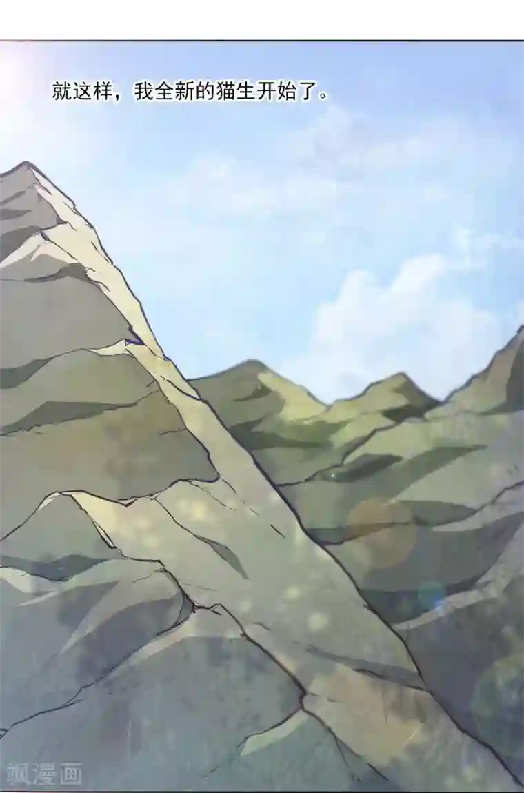 穿回古代做国宝第1话1 我变成熊猫了？！