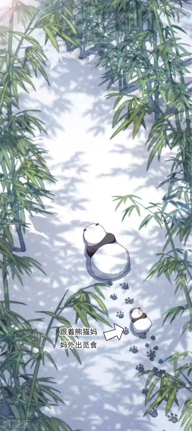 穿回古代做国宝第1话1 我变成熊猫了？！