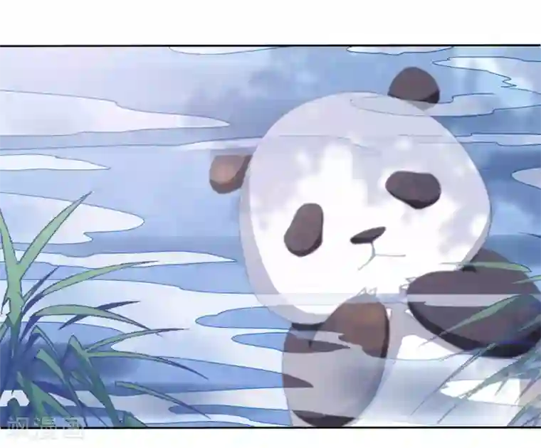 穿回古代做国宝第1话1 我变成熊猫了？！