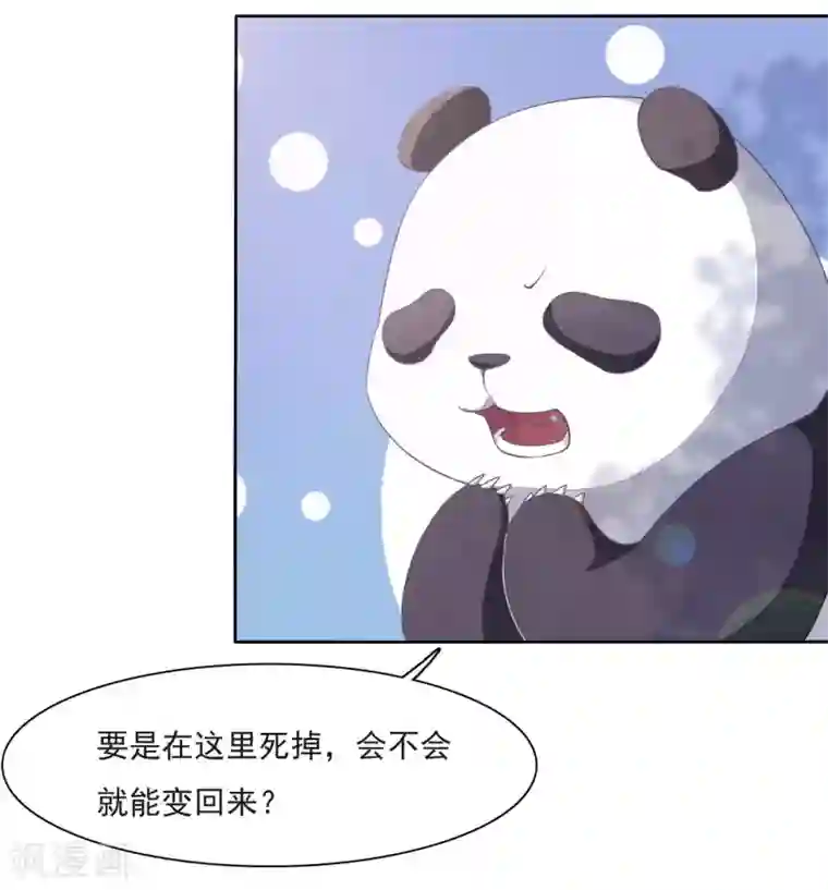 穿回古代做国宝第1话1 我变成熊猫了？！