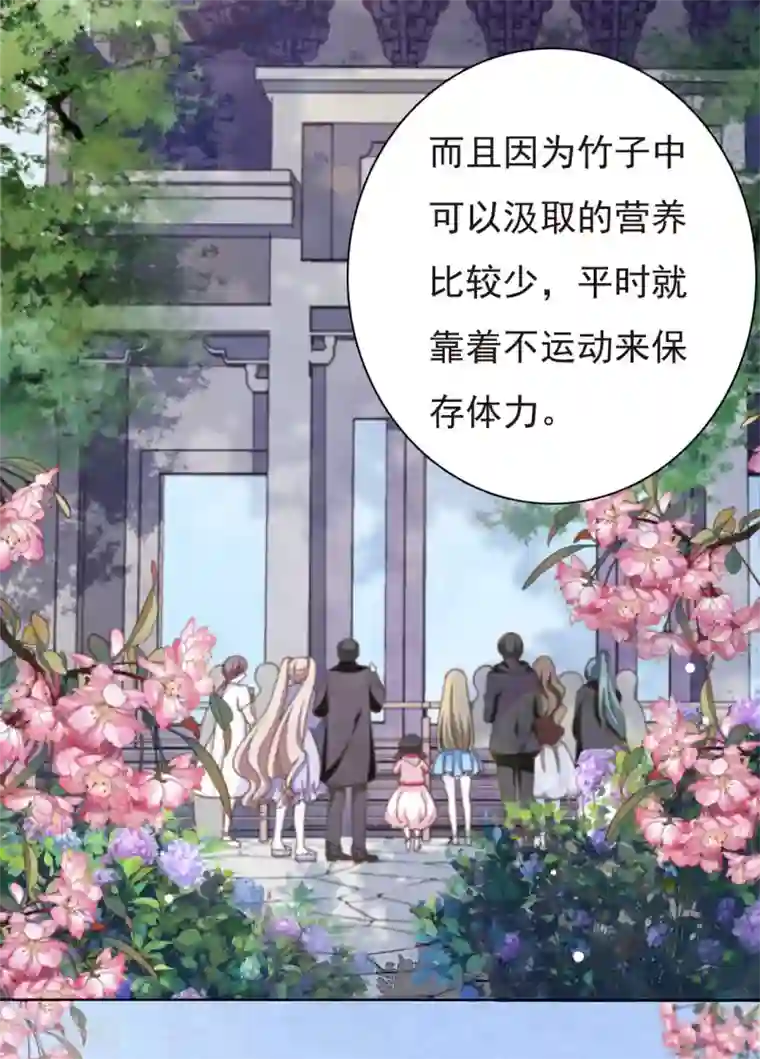 穿回古代做国宝第1话1 我变成熊猫了？！