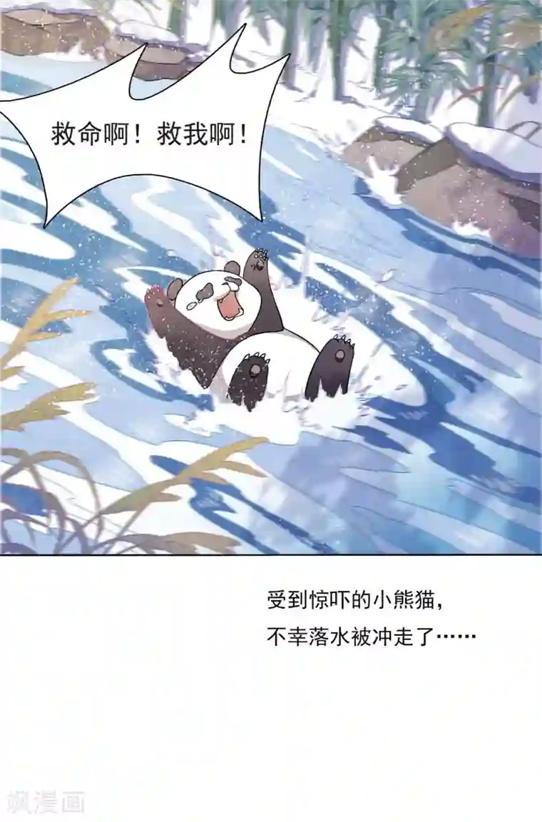 穿回古代做国宝第1话1 我变成熊猫了？！