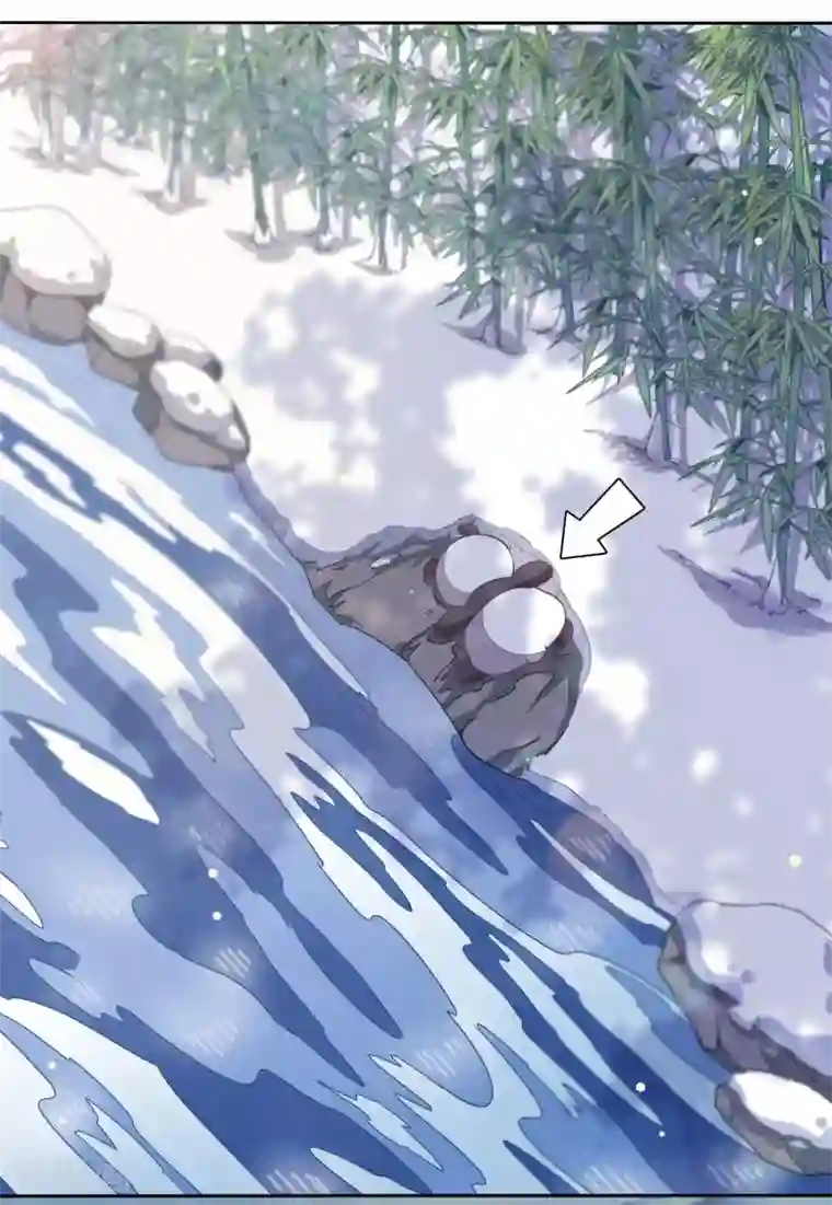 穿回古代做国宝第1话1 我变成熊猫了？！