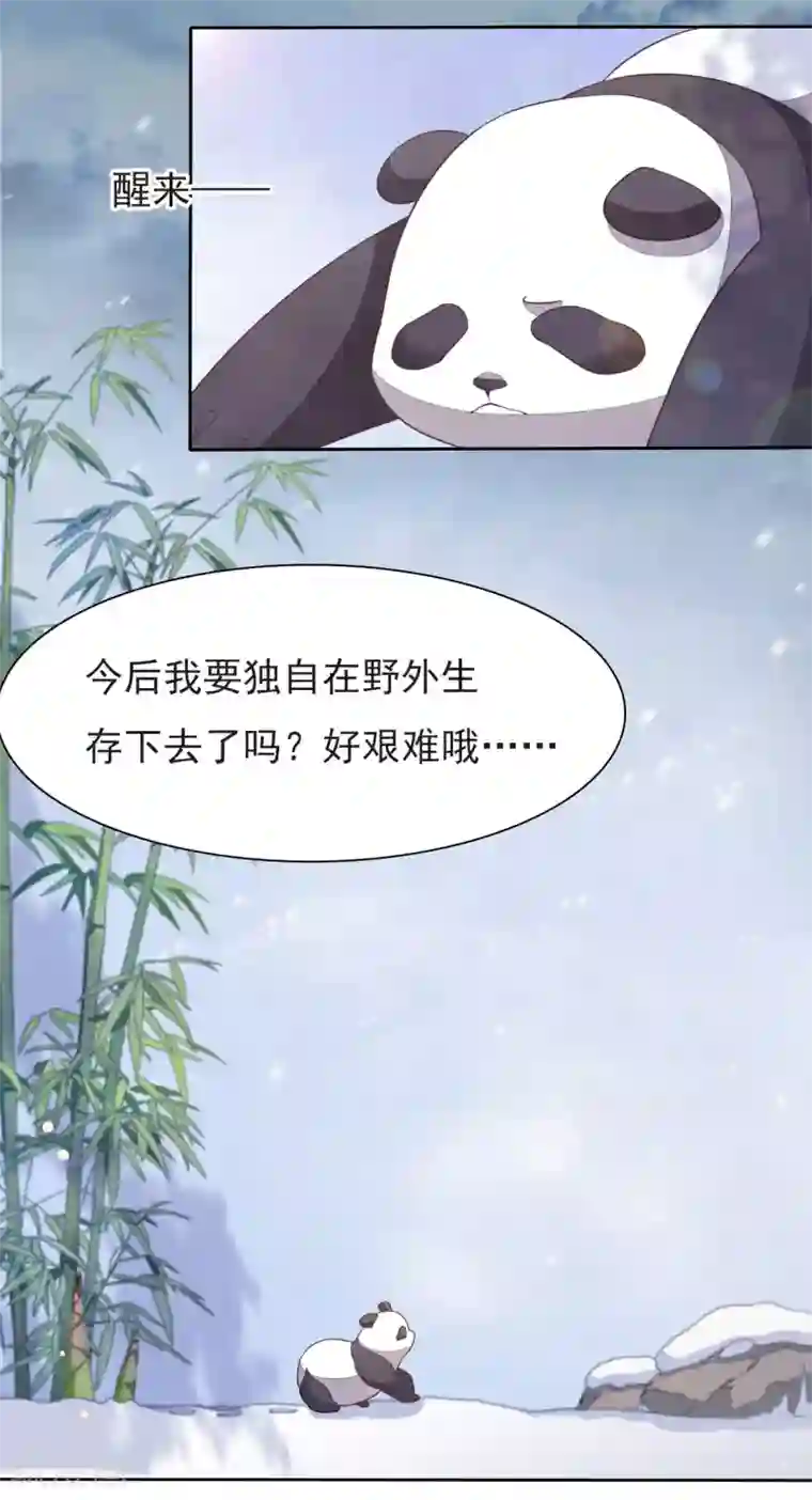 穿回古代做国宝第1话1 我变成熊猫了？！