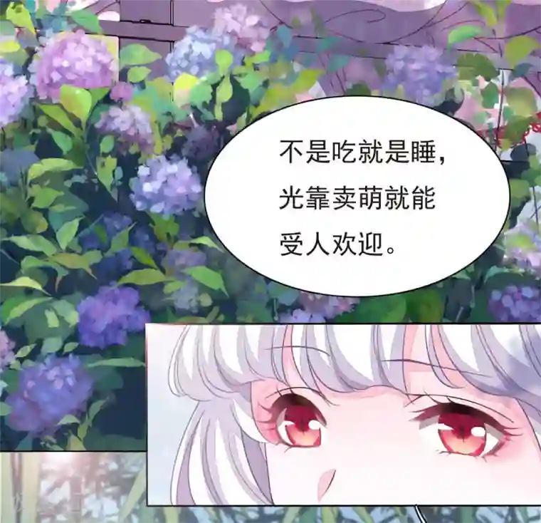 穿回古代做国宝第1话1 我变成熊猫了？！