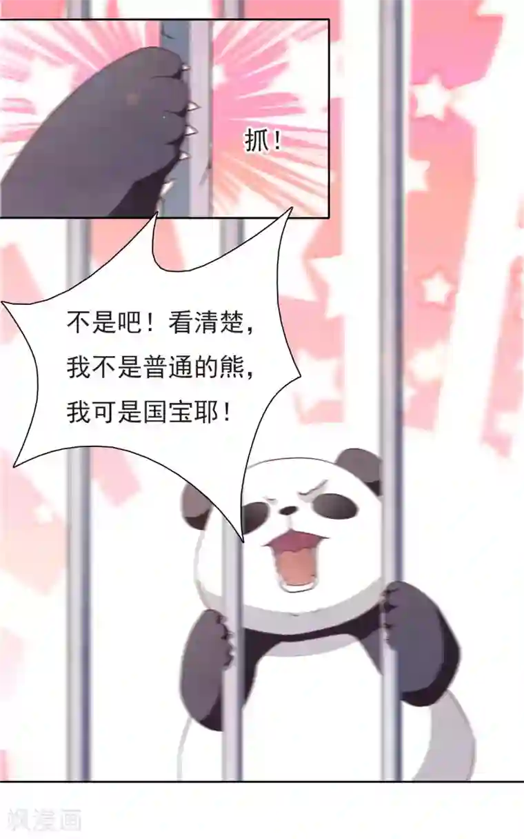 穿回古代做国宝第1话1 我变成熊猫了？！