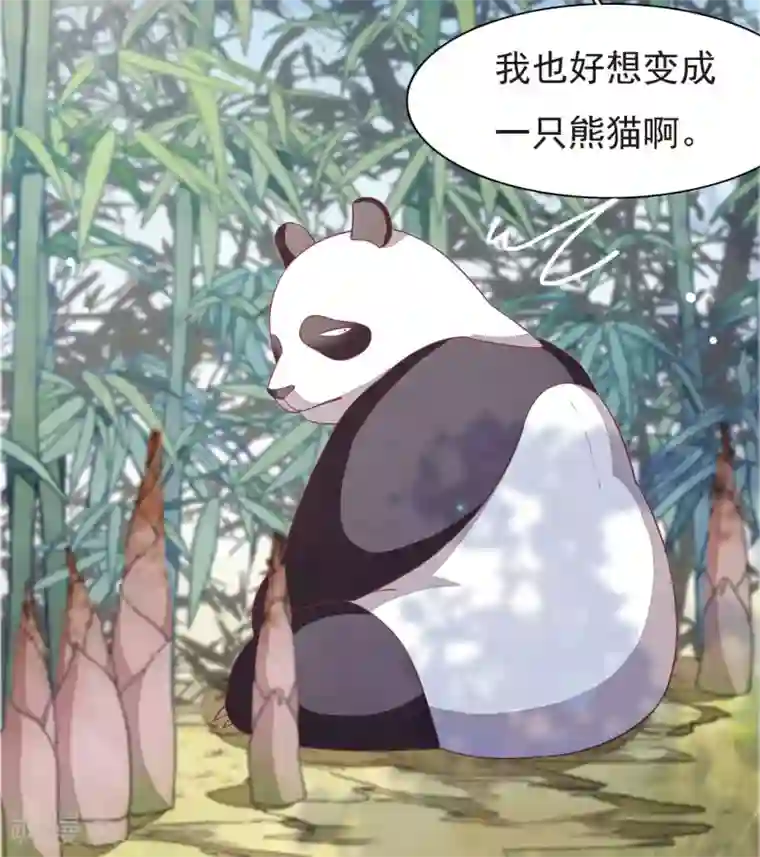 穿回古代做国宝第1话1 我变成熊猫了？！