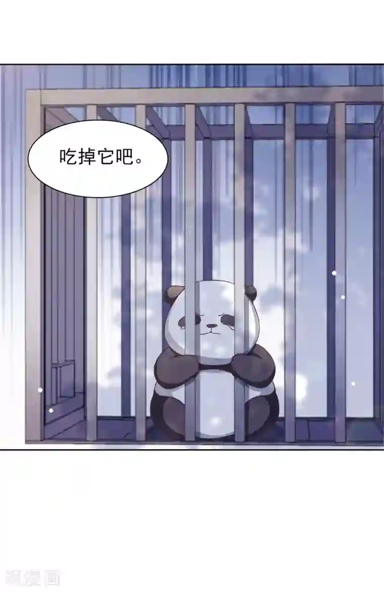 穿回古代做国宝第1话2 我变成熊猫了？！