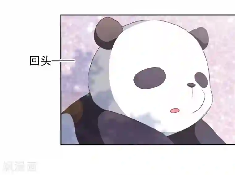 穿回古代做国宝第1话2 我变成熊猫了？！