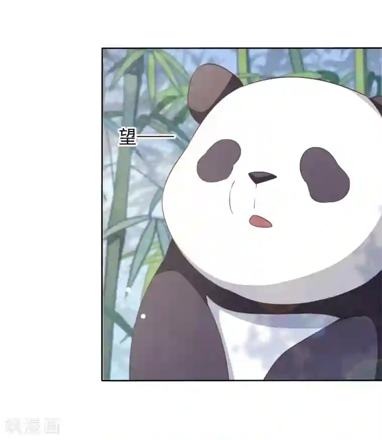 穿回古代做国宝第1话2 我变成熊猫了？！
