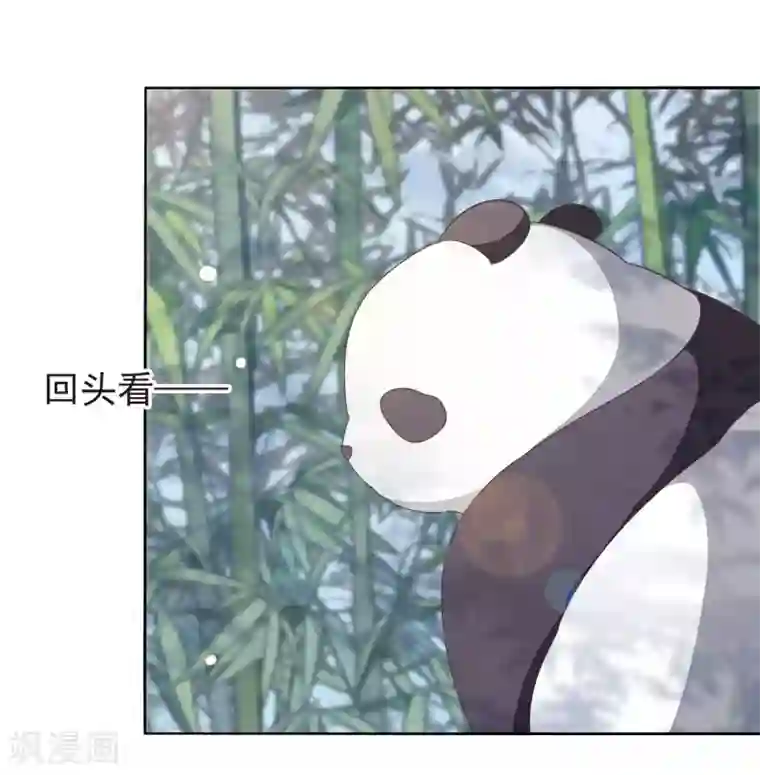 穿回古代做国宝第1话2 我变成熊猫了？！