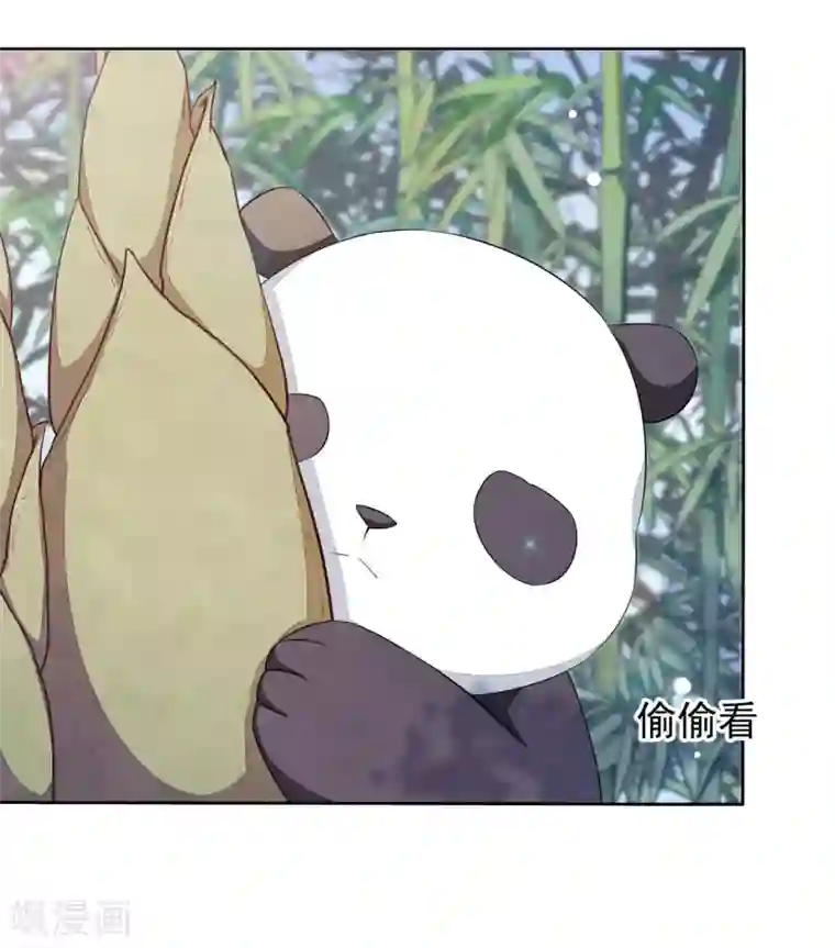 穿回古代做国宝第1话2 我变成熊猫了？！