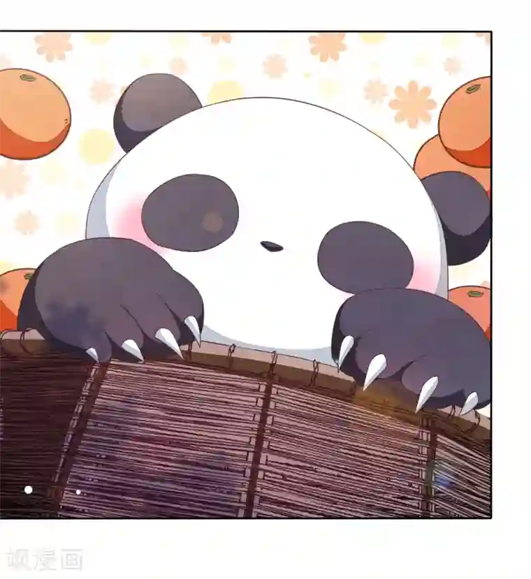 穿回古代做国宝第4话1 我可以变回人类？