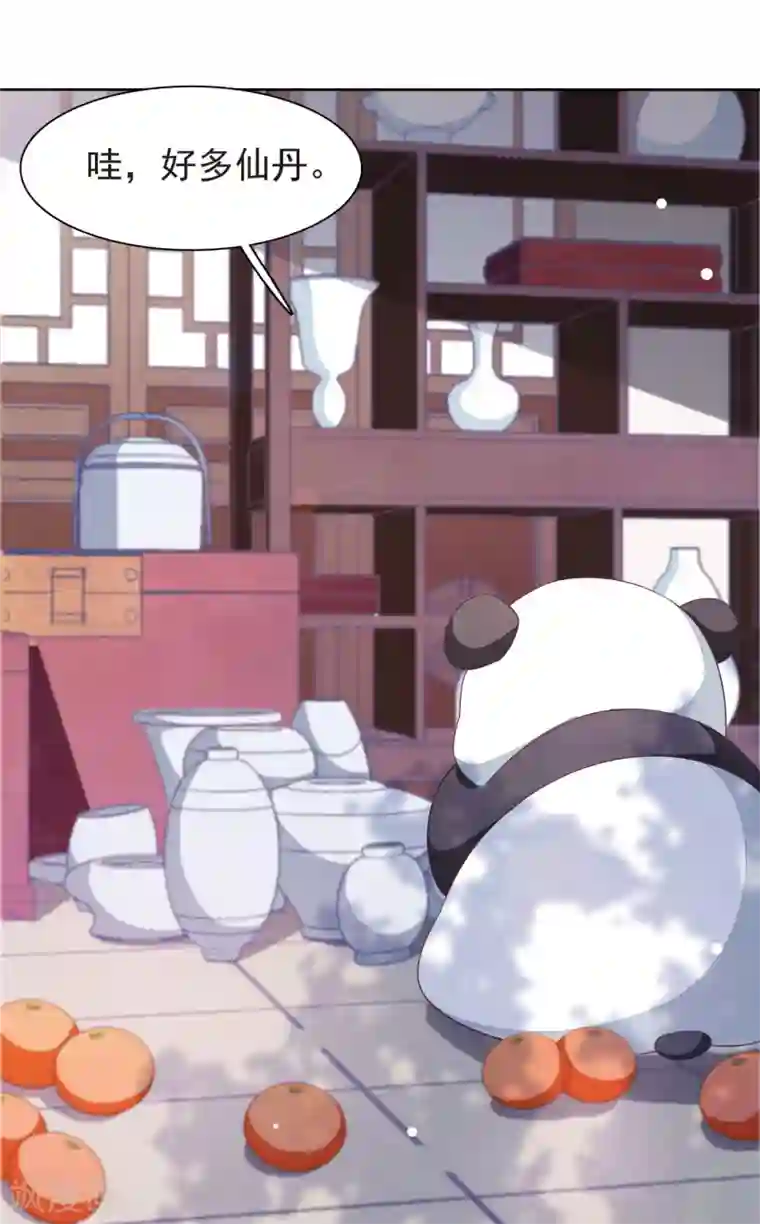 穿回古代做国宝第4话1 我可以变回人类？