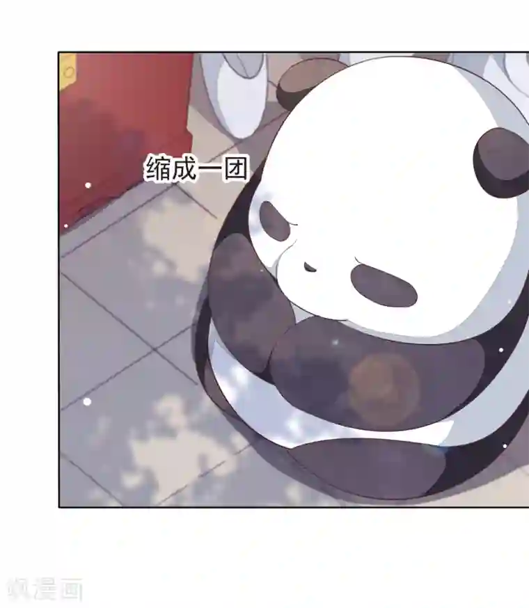 穿回古代做国宝第4话2 我可以变回人类？