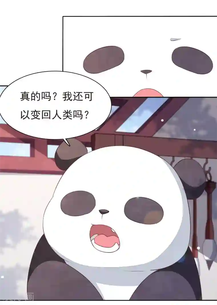 穿回古代做国宝第4话2 我可以变回人类？