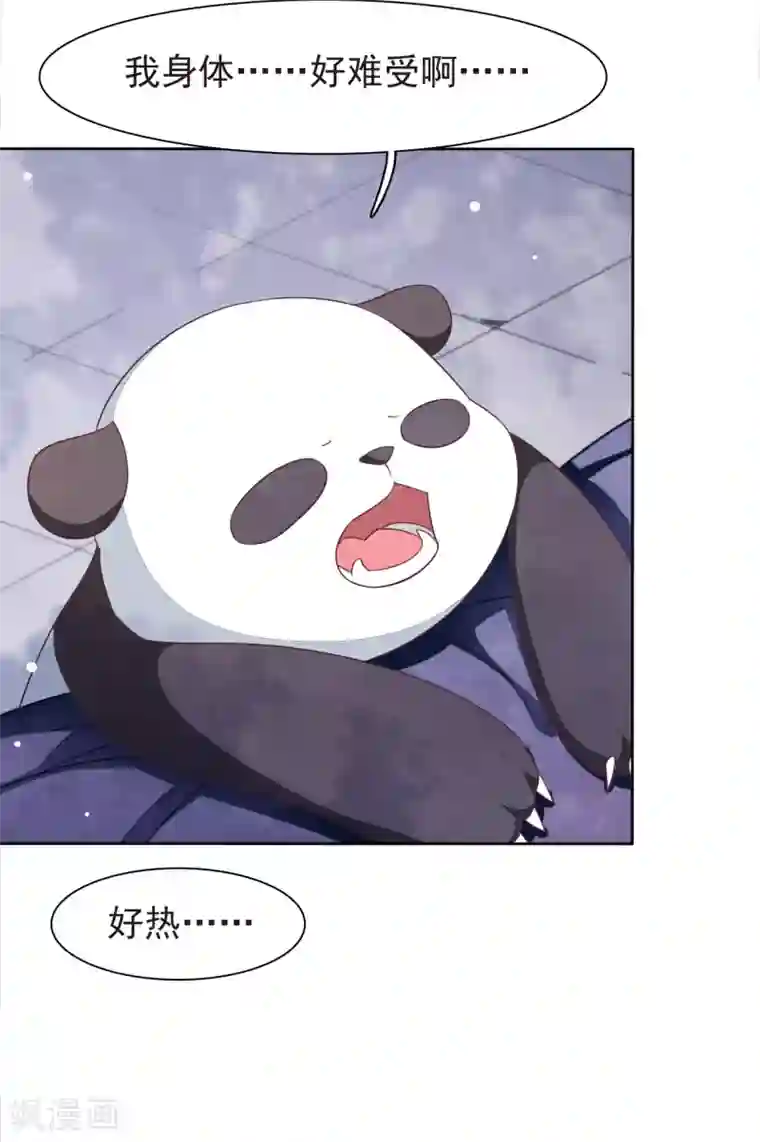 穿回古代做国宝第4话2 我可以变回人类？