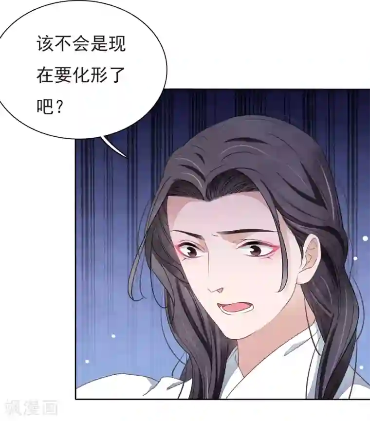 穿回古代做国宝第4话2 我可以变回人类？