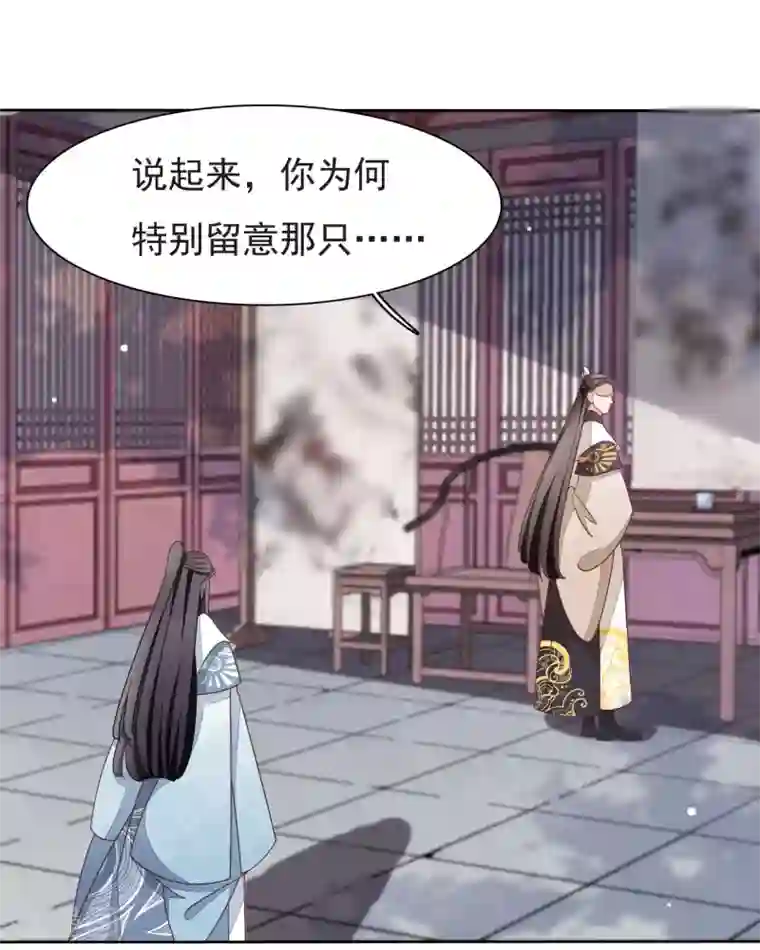 穿回古代做国宝第5话2 齐云派禁地