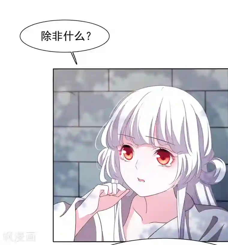 穿回古代做国宝第7话1 选拔玄武长老