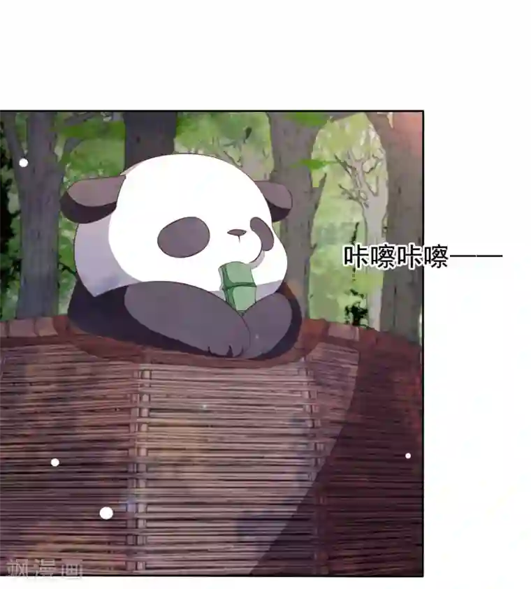 穿回古代做国宝第17话 等你回来！